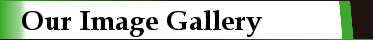 Our Image Gallery Our Image Gallery
