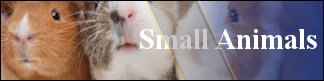 Petwarehouse Fort Wayne - Pet Care for Small Animals