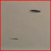 Edmonton Ceiling Refinishing - 1 (833) 724-6880
