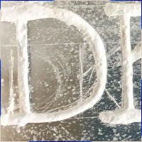 Ice Sculpture | P Diana and Sons Ice House