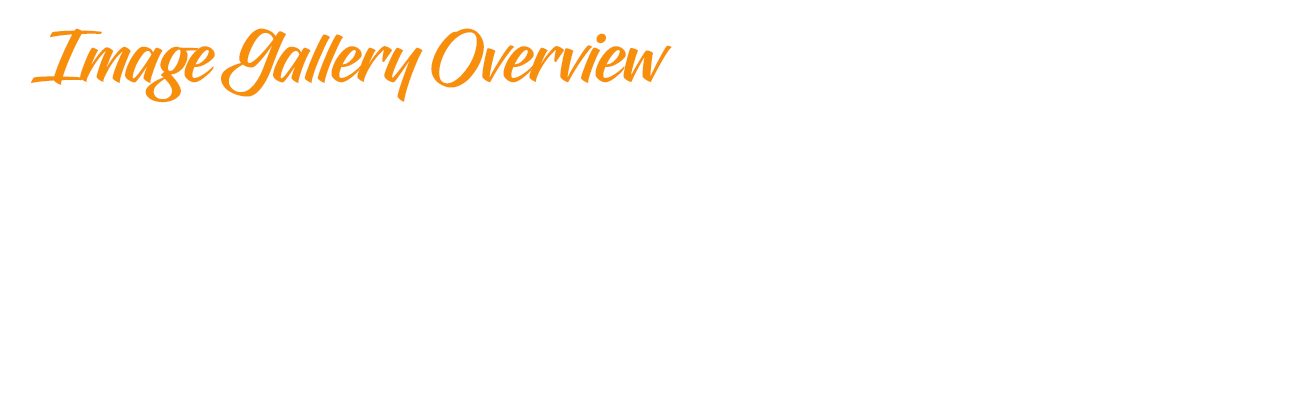 Image Gallery Overview | Overlay | JEM Contracting | Residential and Commercial Renovations Image Gallery Overview | Overlay | JEM Contracting | Residential and Commercial Renovations